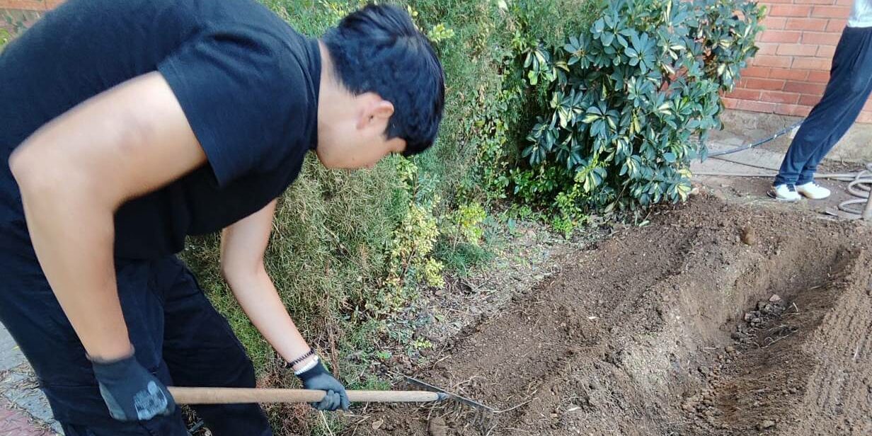 Proyecto Aldea - Boletín Noviembre 2024 - Foto Destacada