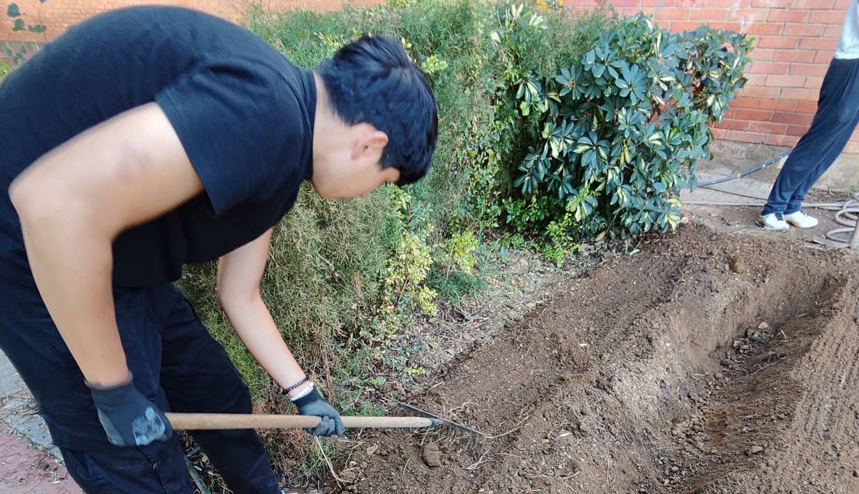 Proyecto Aldea - Boletín Noviembre 2024 - Foto Destacada