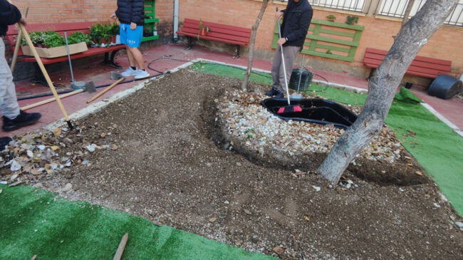 Aldea - Cabecera del del boletín de Enero de 2025